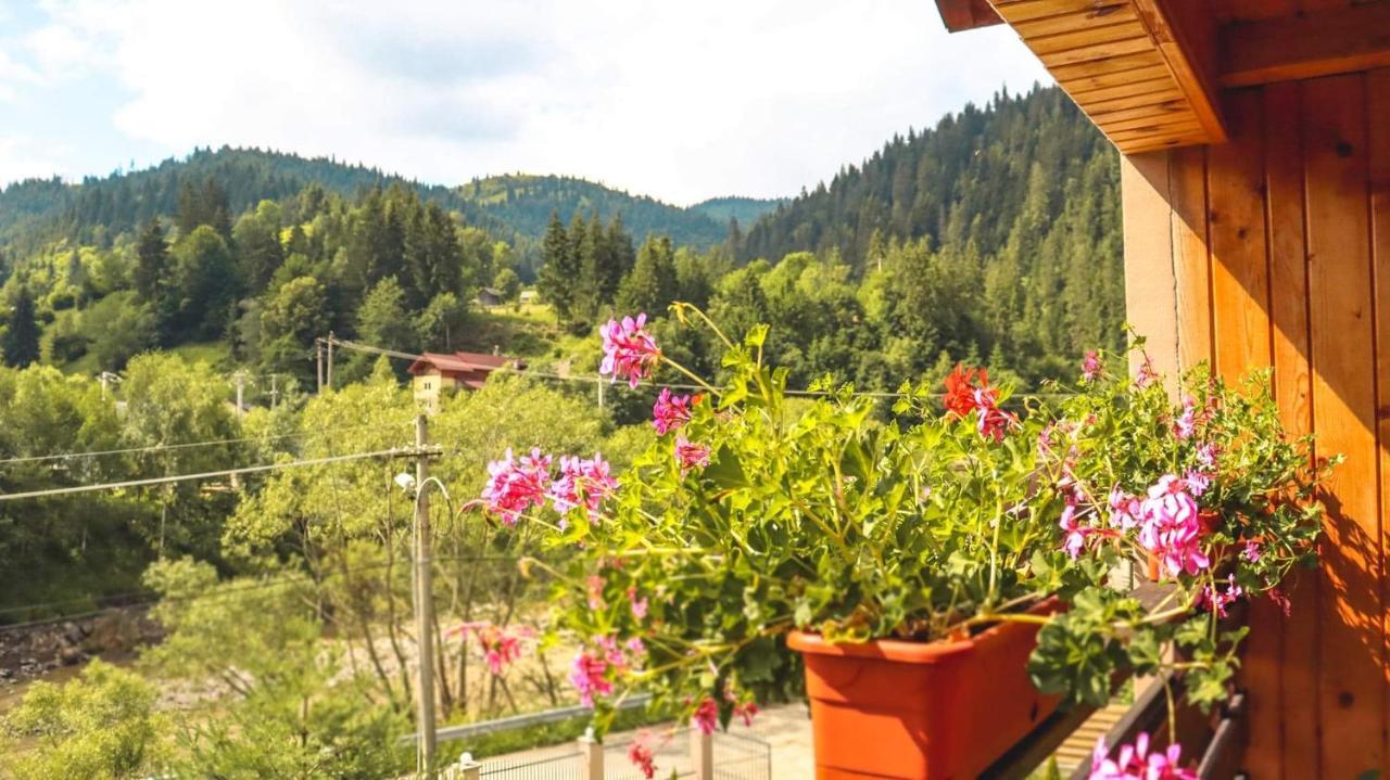 Отель Casa Poiana Teiului Экстерьер фото