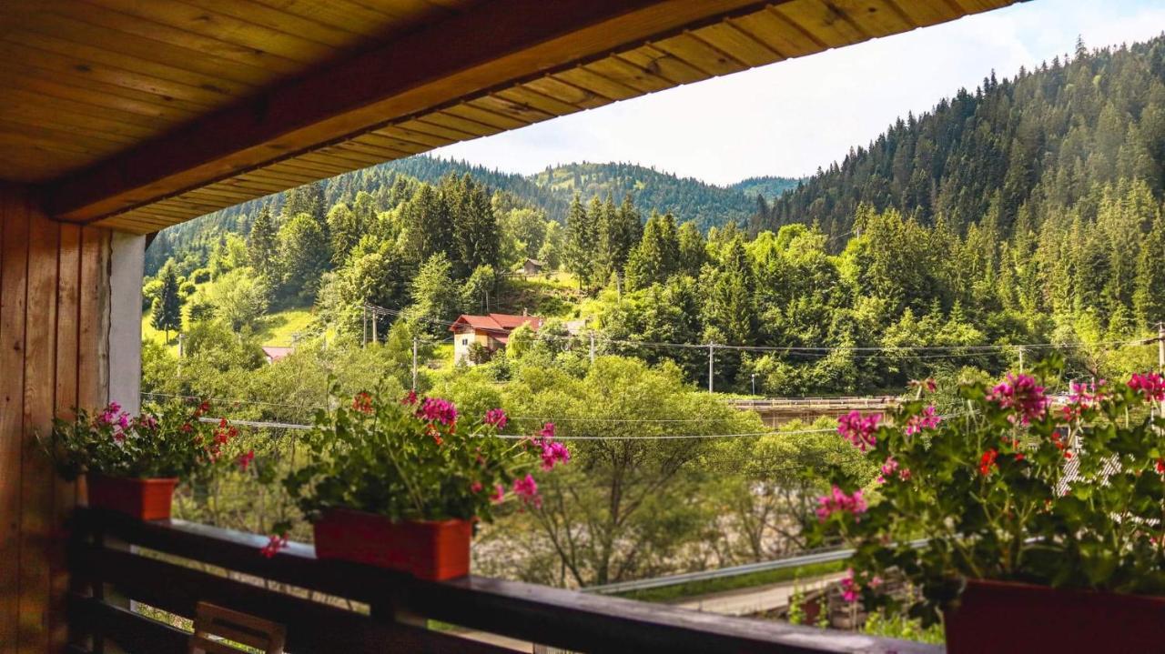 Отель Casa Poiana Teiului Экстерьер фото