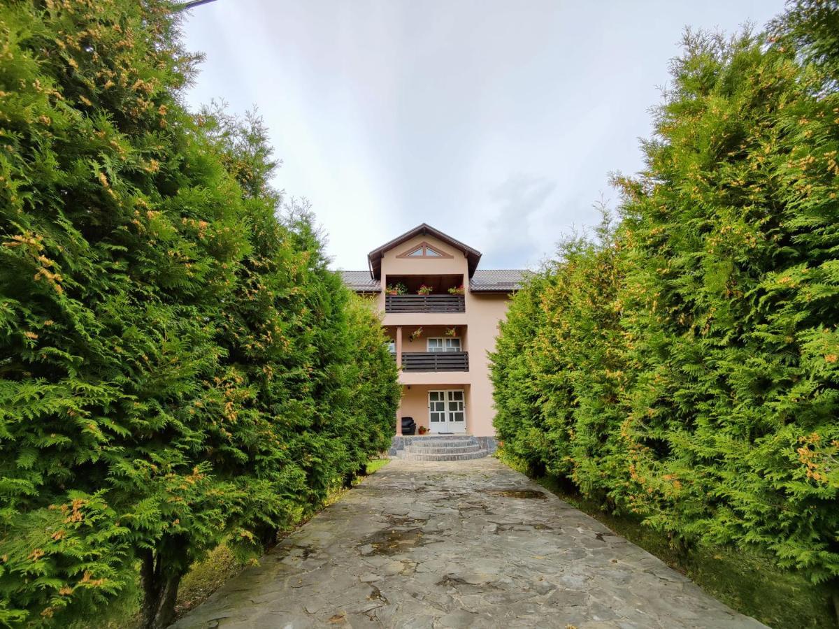 Отель Casa Poiana Teiului Экстерьер фото