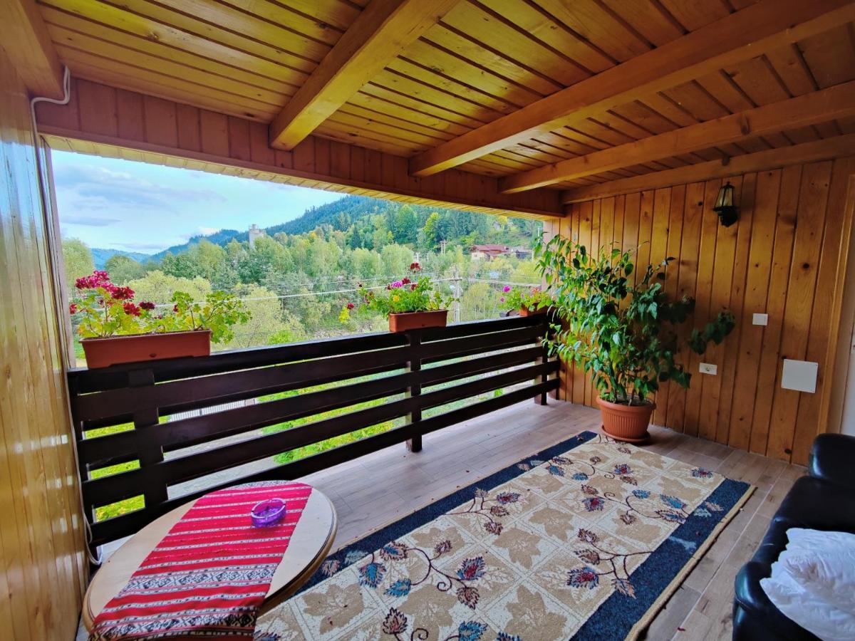 Отель Casa Poiana Teiului Экстерьер фото