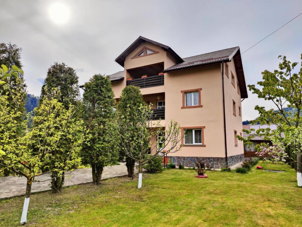 Отель Casa Poiana Teiului Экстерьер фото