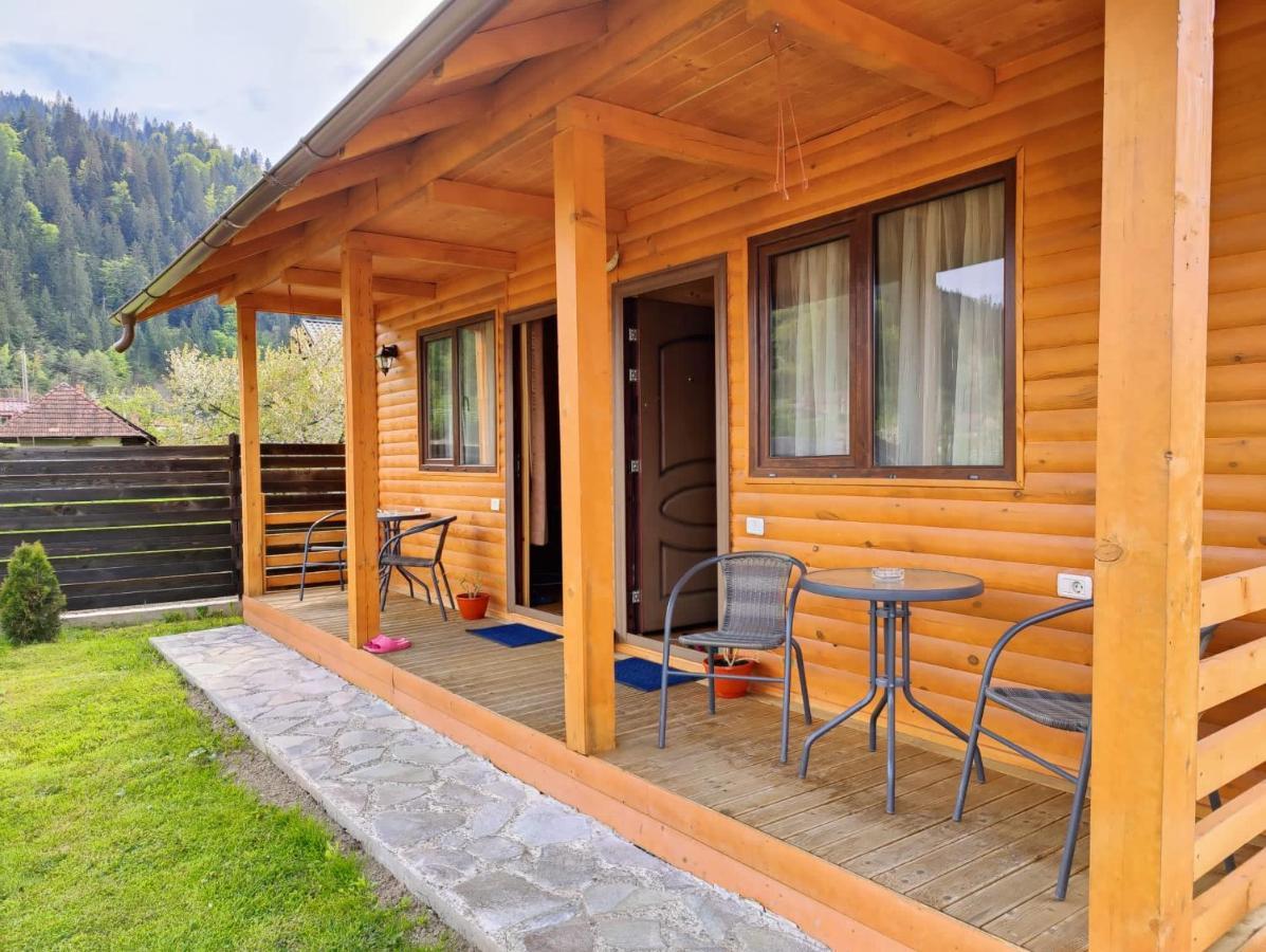 Отель Casa Poiana Teiului Экстерьер фото